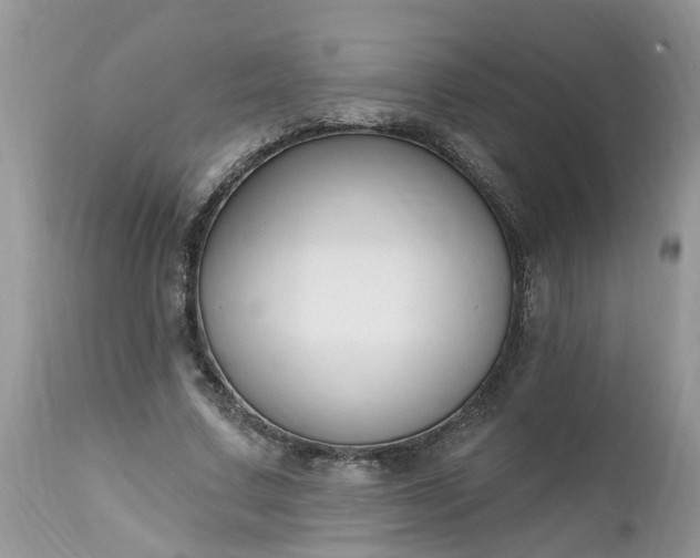 X0000112540683200908311447
