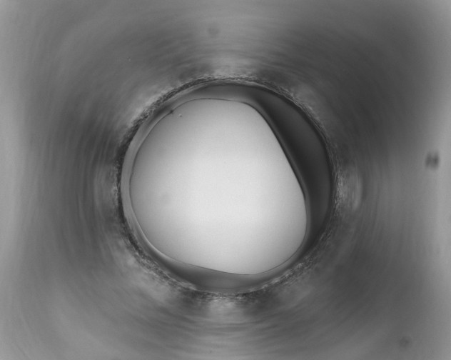 X0000112540684200908311447