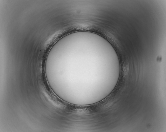X0000112540686200908311447
