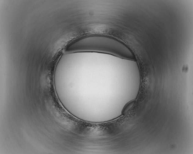 X0000112540688200908311447