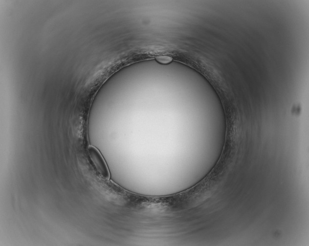 X0000112540689200908311447
