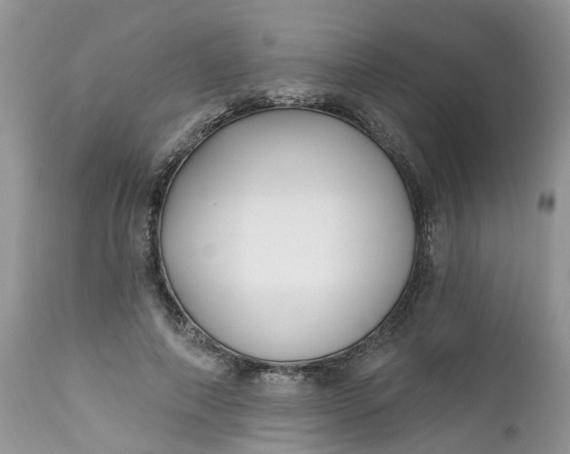 X0000112540690200908311447