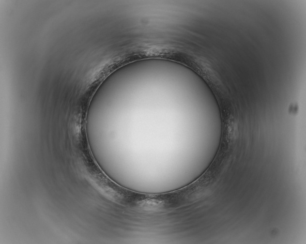 X0000112540691200908311447