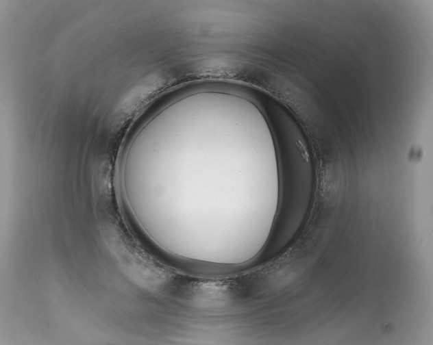 X0000112540692200908311447
