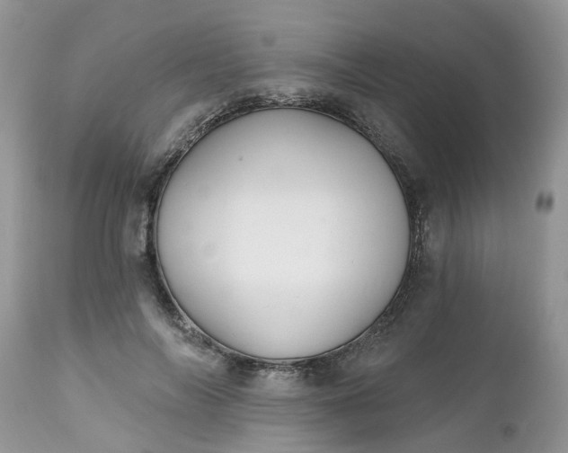 X0000112540694200908311447