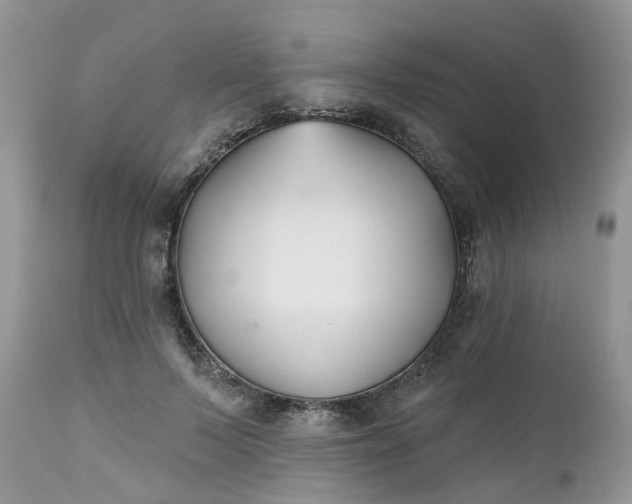 X0000112540695200908311447