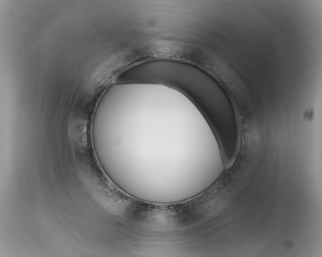 X0000112540696200908311447