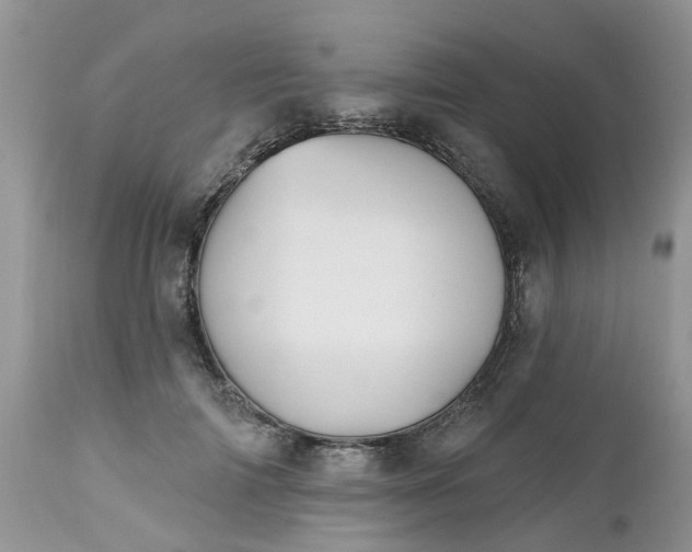 X0000112540698200908311447