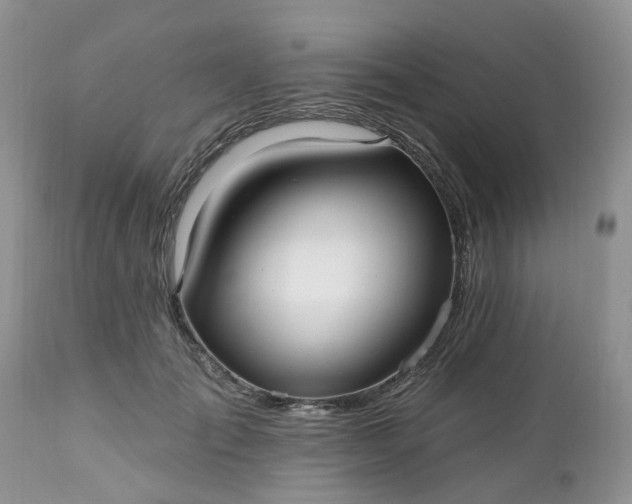 X0000112540701200908311447