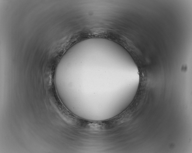 X0000112540703200908311446