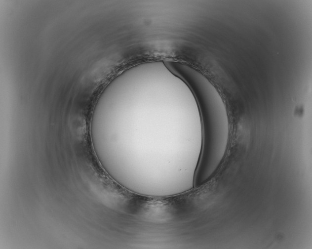 X0000112540704200908311446