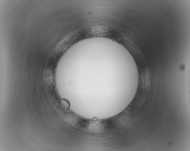 X0000112540705200908311446