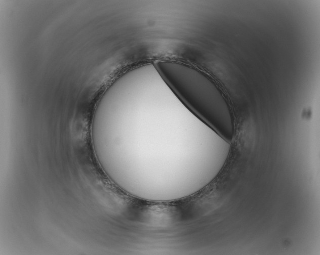 X0000112540708200908311446