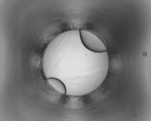 X0000112540709200908311446