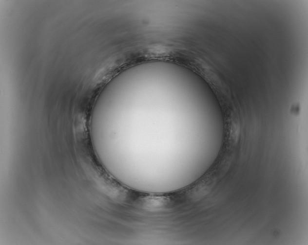 X0000112540711200908311446