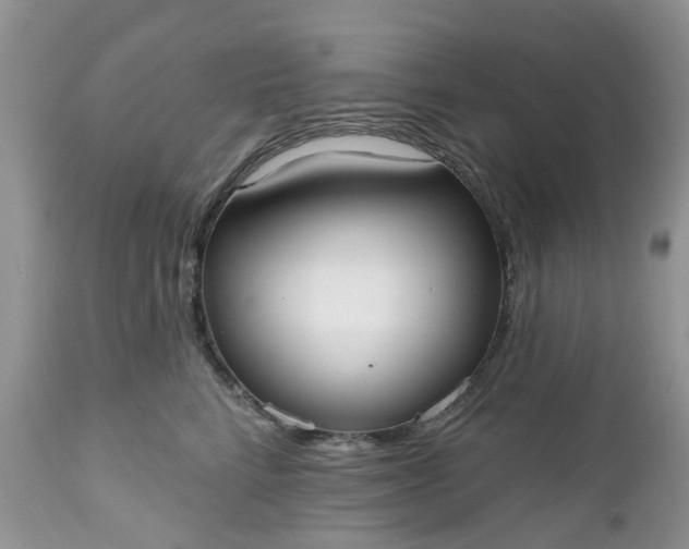 X0000112540712200908311446