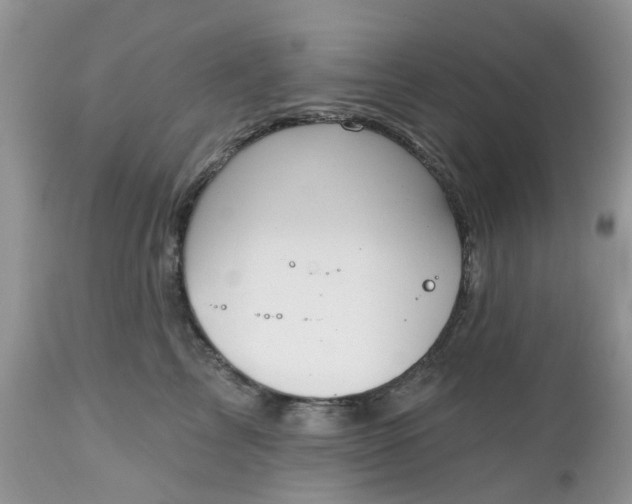 X0000112540713200908311446
