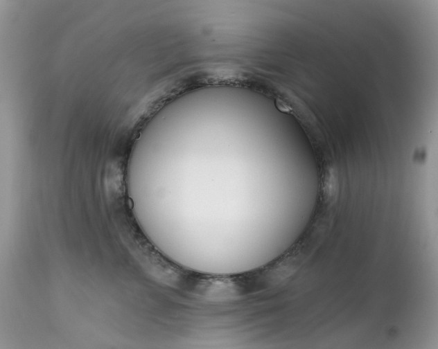 X0000112540715200908311446