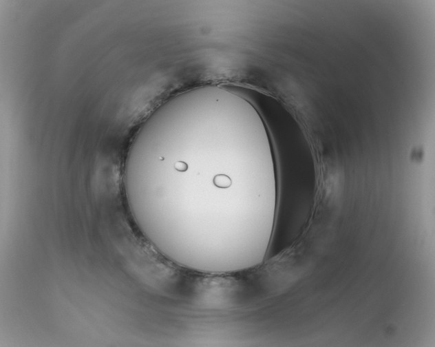 X0000112540716200908311446