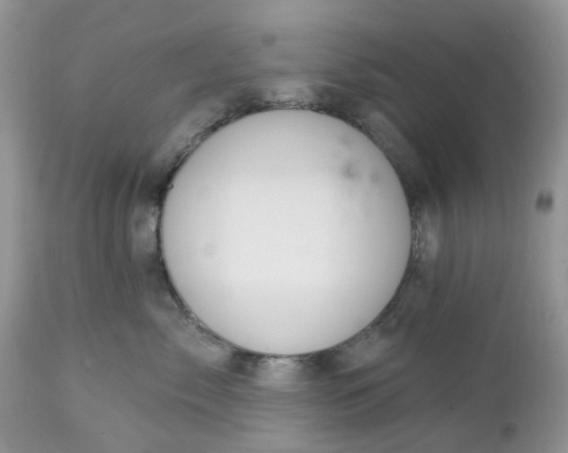 X0000112540717200908311446