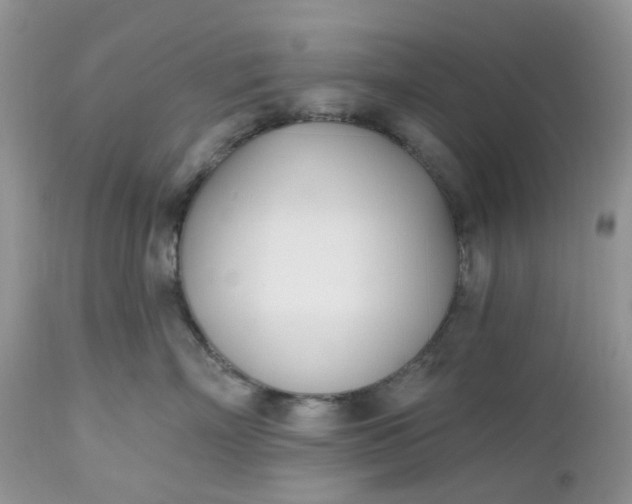 X0000112540718200908311446