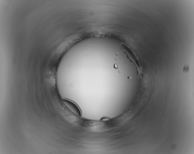 X0000112540719200908311446