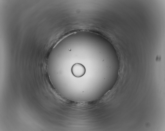X0000112540720200908311446
