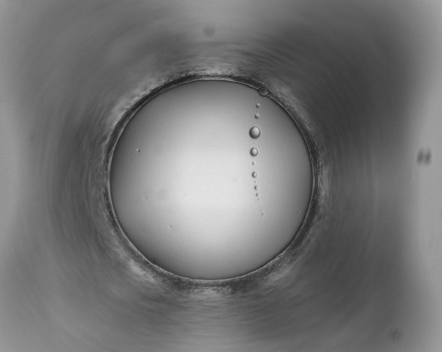 X0000112540721200908311446
