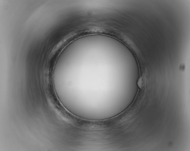 X0000112540722200908311446