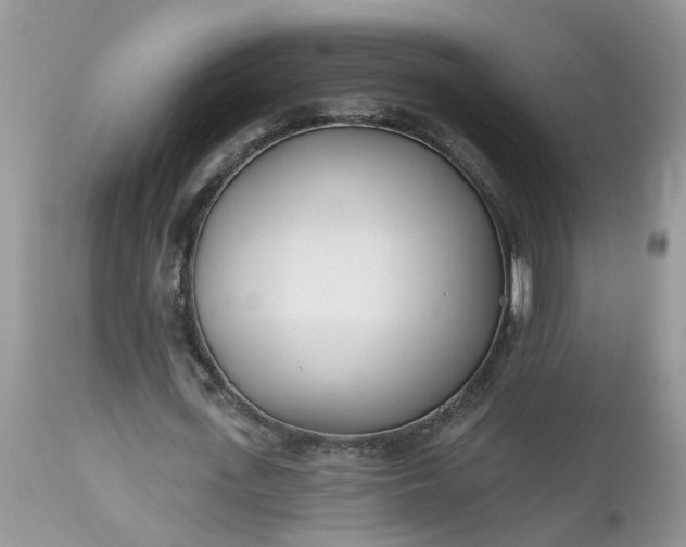 X0000112540723200908311446