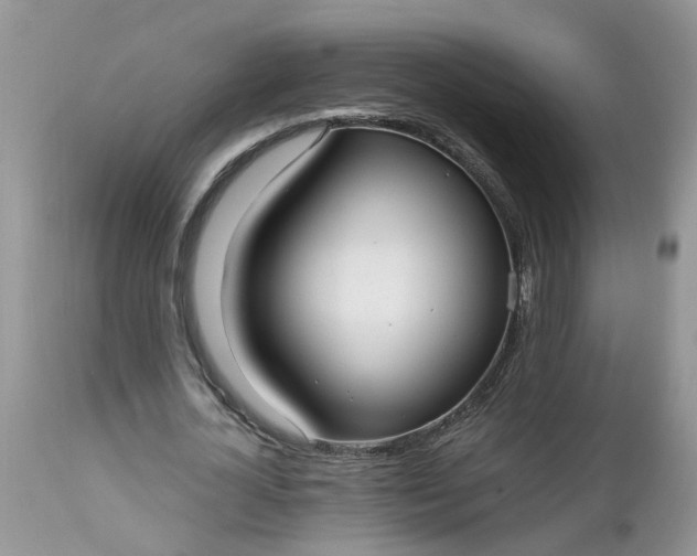 X0000112540724200908311446