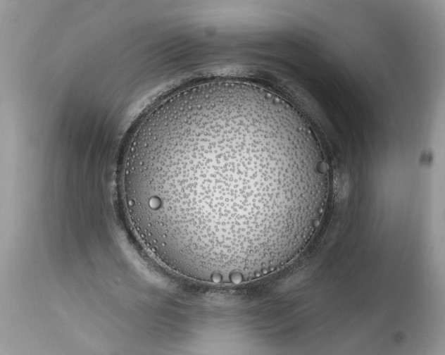 X0000112540725200908311446