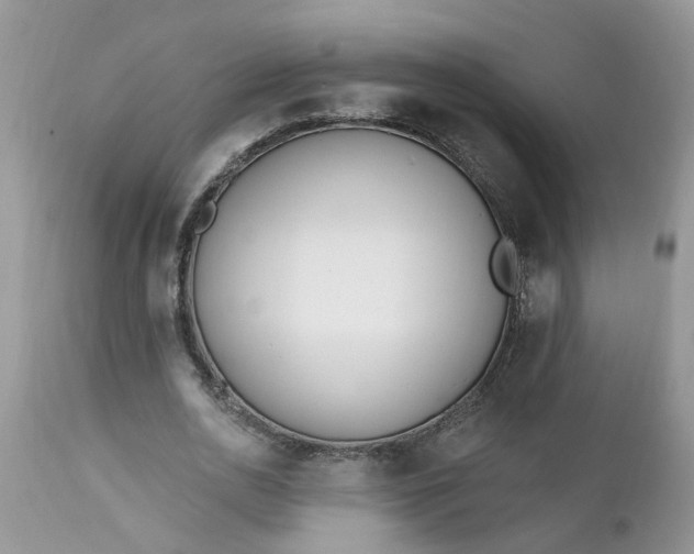 X0000112540726200908311446