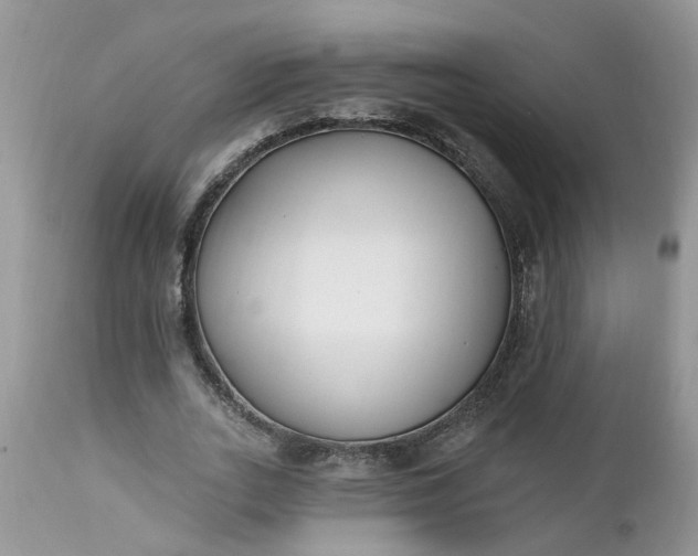 X0000112540727200908311446