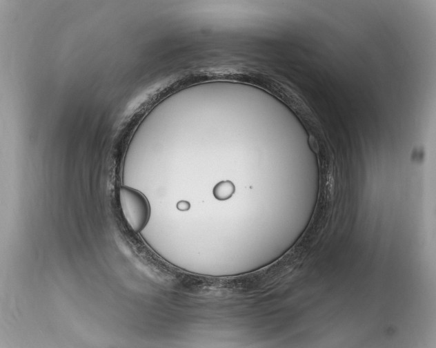 X0000112540732200908311446