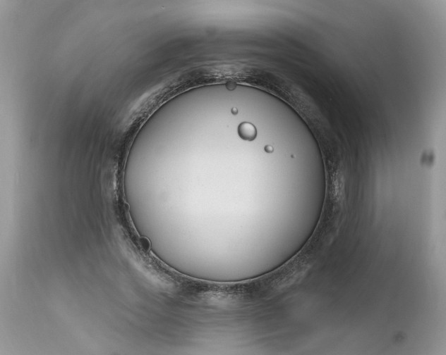 X0000112540733200908311446