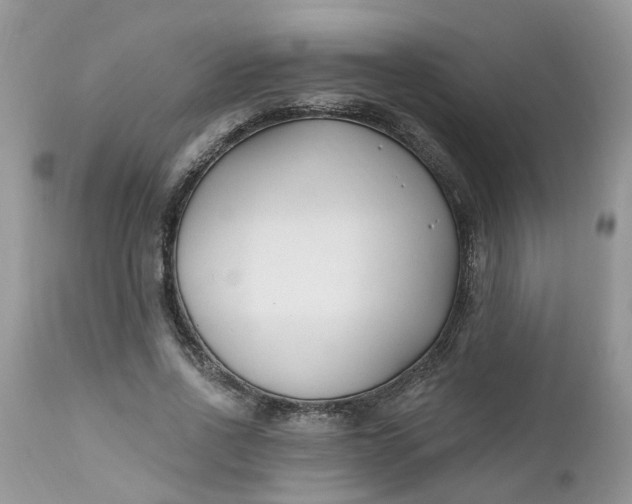 X0000112540734200908311446