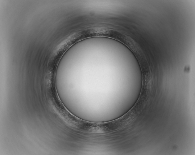 X0000112540735200908311446