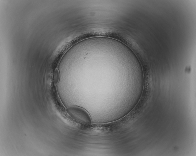 X0000112540736200908311446