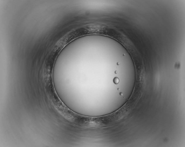 X0000112540737200908311446