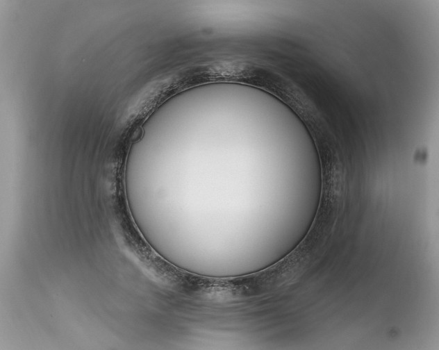 X0000112540738200908311446