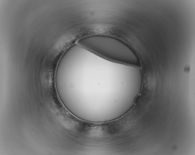 X0000112540740200908311446