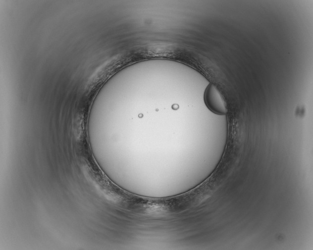 X0000112540741200908311446