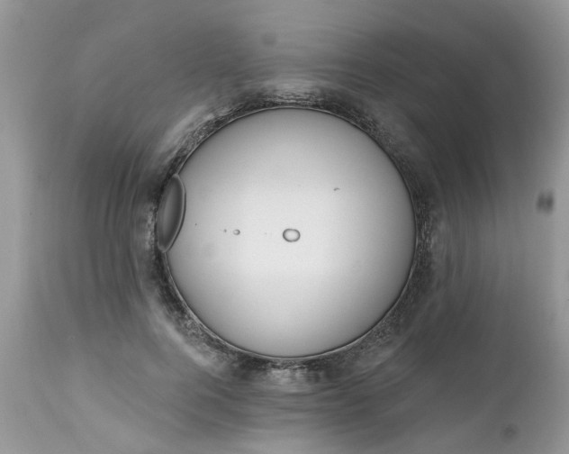 X0000112540744200908311446