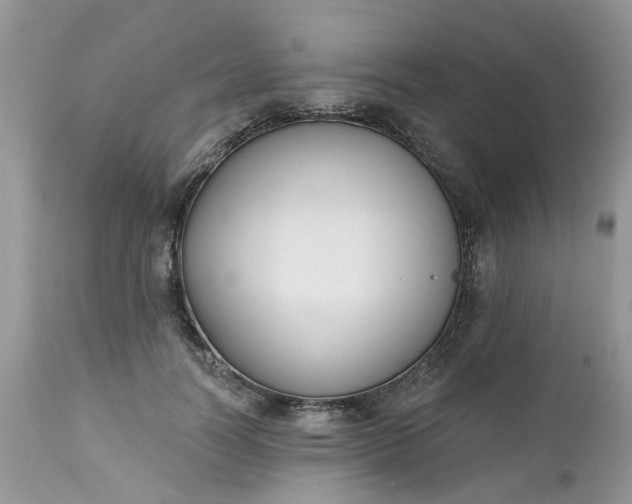 X0000112540746200908311446