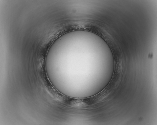 X0000112540747200908311446