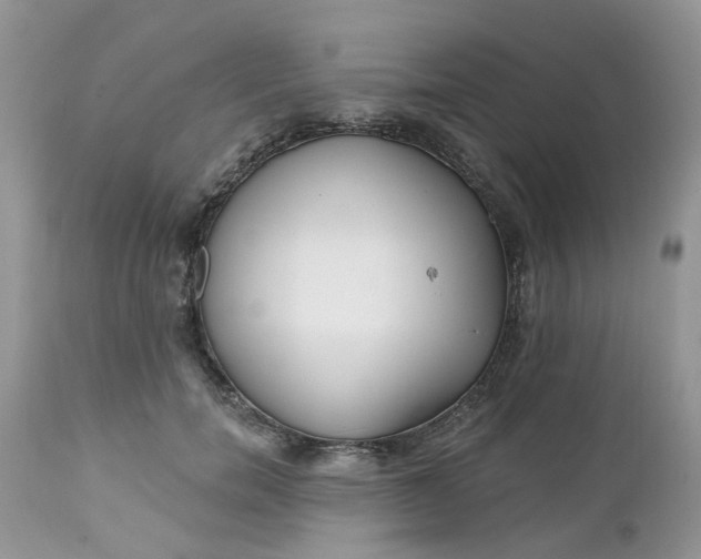 X0000112540750200908311446