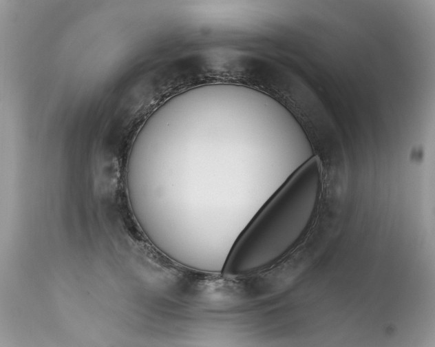 X0000112540752200908311446