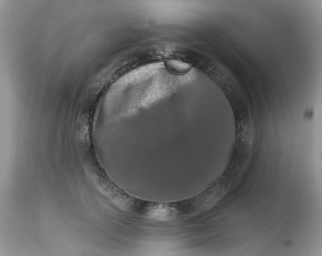 X0000112540754200908311446