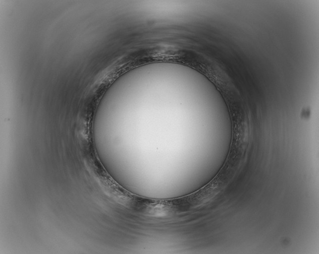 X0000112540755200908311446